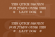 Strong Frame New Slab Serif Font, a Slab Serif Font by Storytype Studio (Thumbnail 7 of 15)