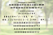 Garden | Script Font, a Script Font by Scratchones (Thumbnail 7 of 8)