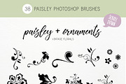 Perfect Paisley photoshop brushes, a Brush Add-On by Studio-Charlie (Thumbnail 2 of 2)
