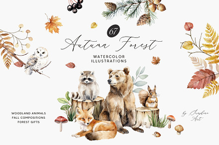 Autumn forest collection