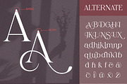 Elaine Dawn - Modern Luxury Serif, a Serif Font by Qweera Studio (Thumbnail 9 of 12)