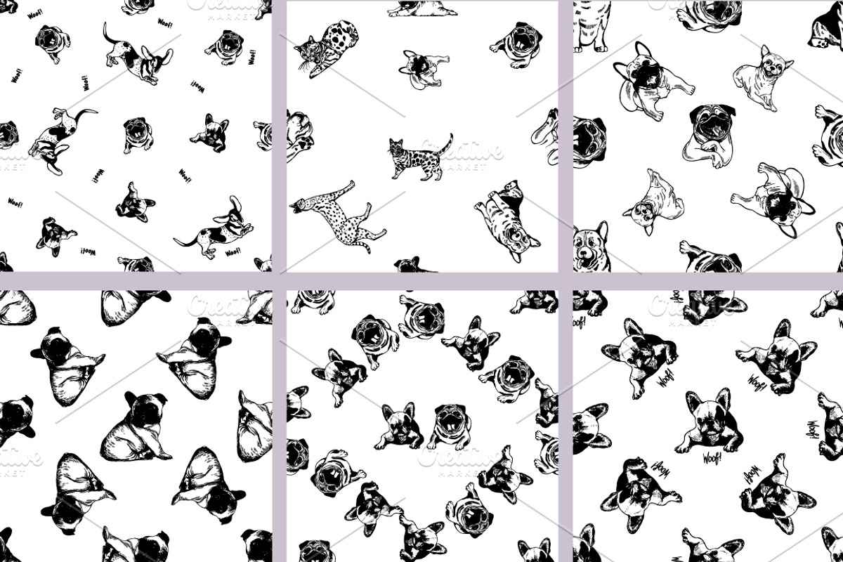 Cats & Dogs, an Animal Illustration by Ecaterina Sciuchina (Photo 2 of 4)