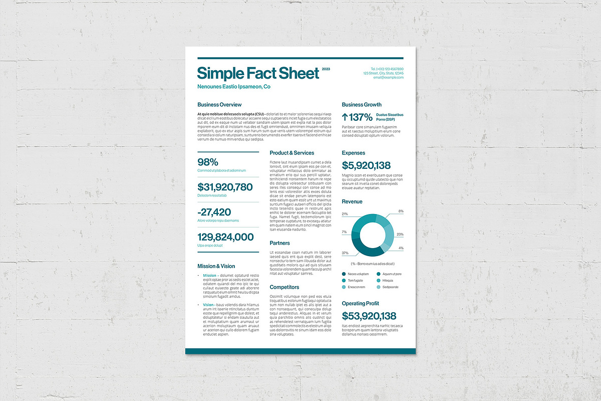 Simple Factsheet Template, a Flyer Template by BrandPacks (Photo 2 of 5)