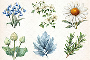 Vintage Botanical Clipart, an Illustration by Libby Wishes (Thumbnail 3 of 6)