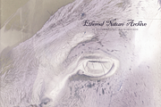 Ethereal Nature Archive Backgrounds, a Background Graphic by Natali Batu (Thumbnail 4 of 9)