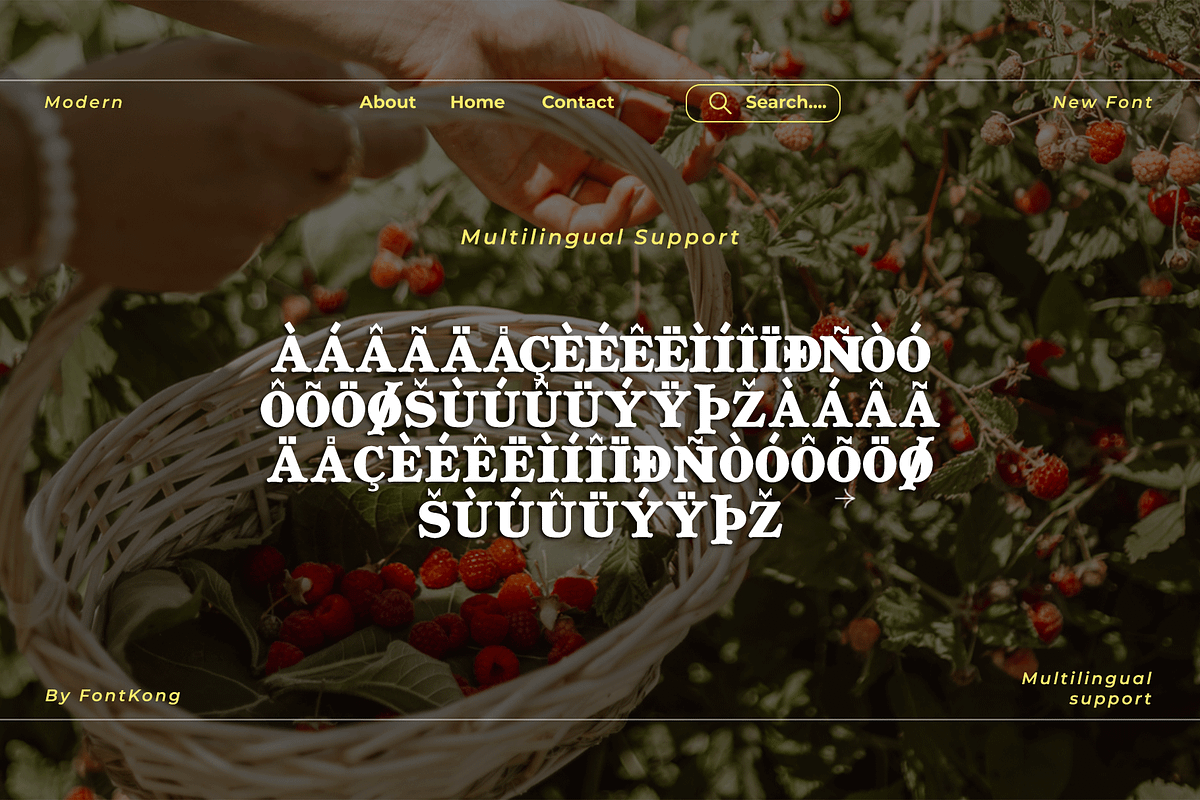 Luxeira - A Modern Classy Serif Font, a Serif Font by overlaytemplates (Photo 5 of 5)