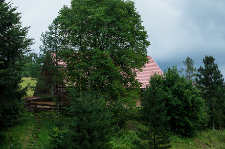 house in the forest. fresh mountain air, green trees