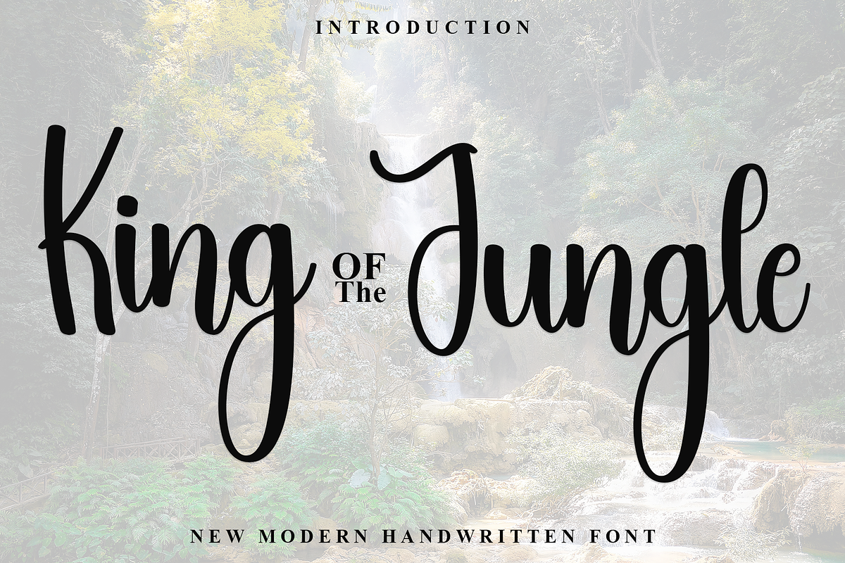 King Jungle, a Handwritten Font by InermediaSTUDIO (Photo 1 of 8)
