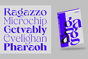 Calgera, a Serif Font by TRF Fonts (Thumbnail 12 of 16)