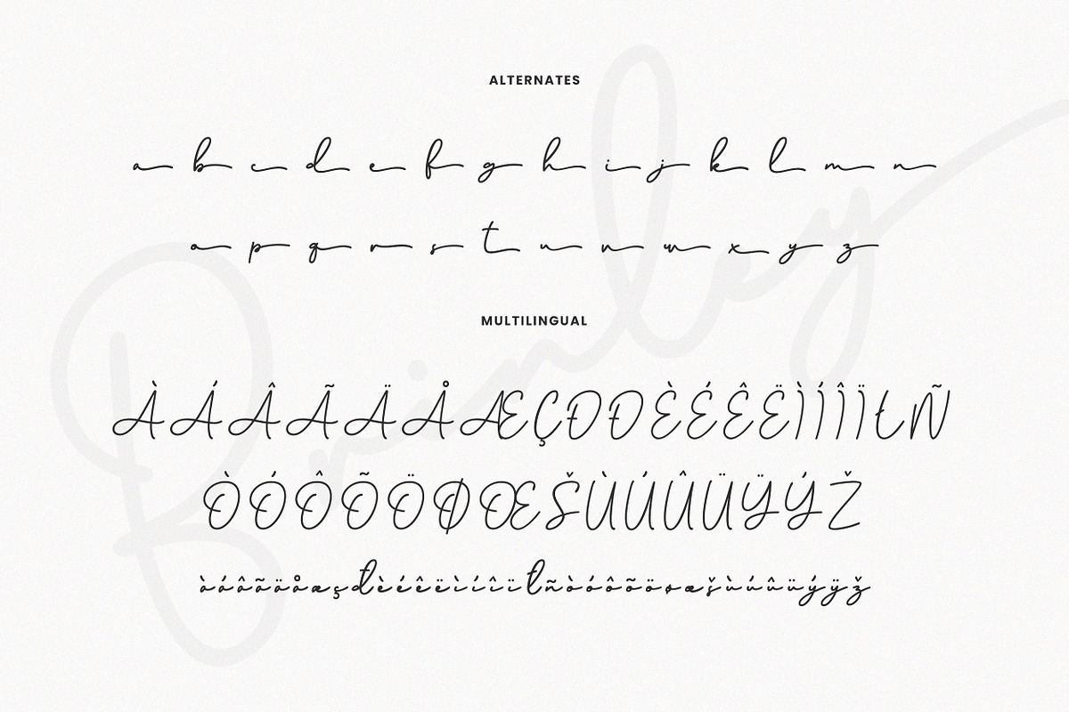 Brinley - Modern Handwritten Font, a Script Font by Flawless And Co (Photo 9 of 10)