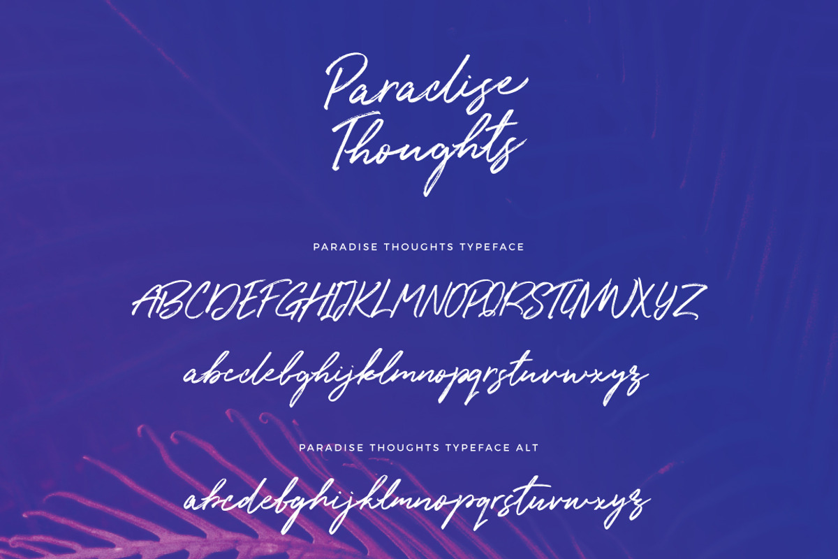 Paradise Thoughts Typeface, a Script Font by Mats-Peter Forss (Photo 9 of 9)