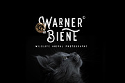Retrocycles + Bonus Illustrations, a Sans Serif Font by Craft Supply Co. (Thumbnail 2 of 12)