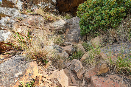 Mountain trails - Lion's Head and Table Mountaion, a Photo by Peopleimages.com