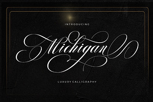 Michigan Script, a Script Font by Typehill
