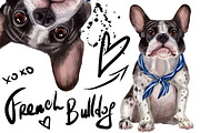 Set French Bulldog., an Animal Illustration by art_mouse (Thumbnail 1 of 4)
