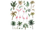 Tropical Collection With Flamingos, a Seasonal Illustration by Natikka Art (Thumbnail 2 of 6)