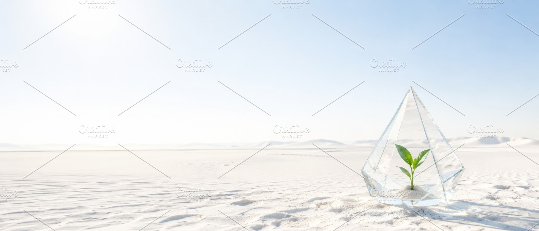 Desert landscape with single green p, a Photo by Dvoevnore photos