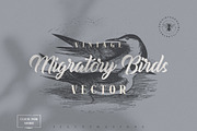 Vintage Bundle 2500+ Free Update, an Animal Illustration by Retro Machine (Thumbnail 119 of 170)