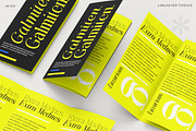Galmiten | 243 Font Styles, a Serif Font by IM Studio (Thumbnail 8 of 12)