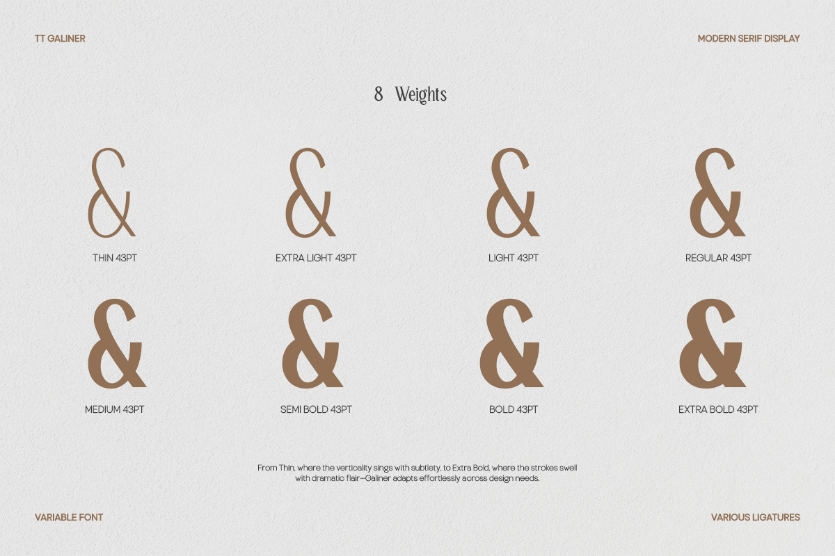 TT Galiner – Timeless Elegance Serif, a Serif Font by truetype (Photo 14 of 15)