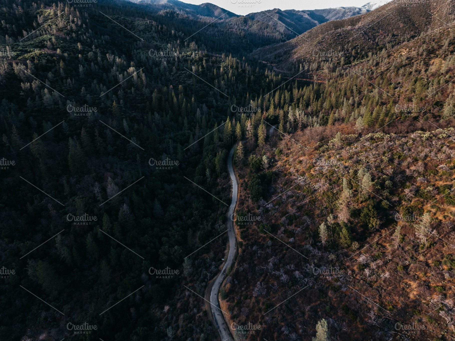 Lonely road featuring wilderness, road, and aerial, a Nature Photo by Hannah Posey