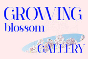 Barfiola Typeface, a Serif Font by MJtypefoundry (Thumbnail 12 of 14)