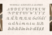 Moshville - Stylish Classy Serif, a Serif Font by Shakira Studio (Thumbnail 10 of 10)