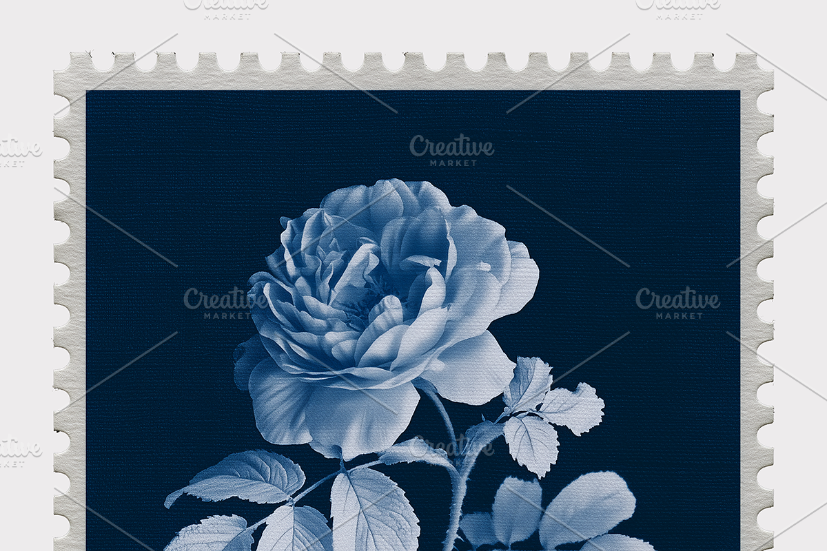Lupa Co · Cyanotype Botanical Stamps, a Texture Illustration by milatovar (Photo 6 of 18)