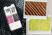 FURther: The Ultimate Fur Collection, a Background Graphic by Anastasiia VNSK (Thumbnail 4 of 12)