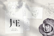 Pencil-drawn flowers, a Decorative Illustration by Damian Roh (Thumbnail 2 of 21)