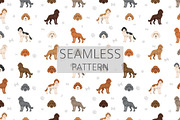 Vizsladoodle (Vizsla Poodle mix), an Animal Illustration by pet design shop (Thumbnail 6 of 6)