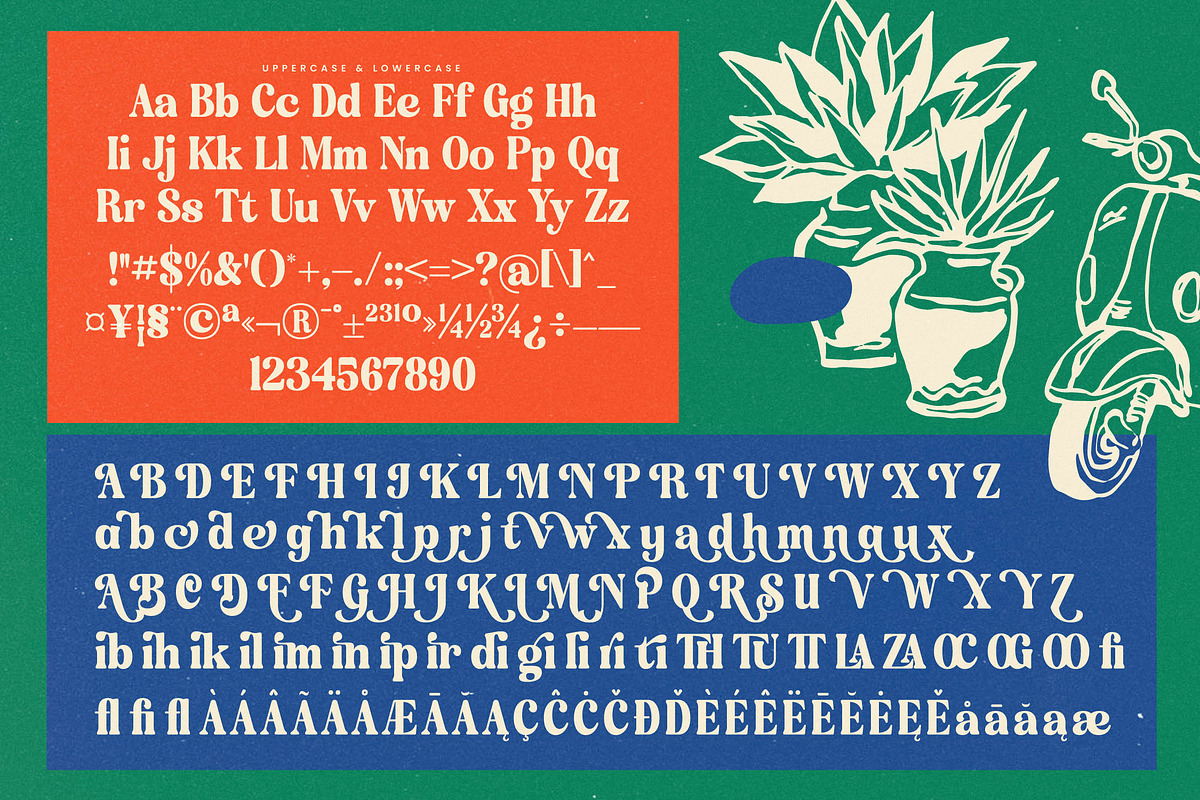 Classica Motion Retro Swash Serif, a Serif Font by timelesstype.co (Photo 15 of 15)