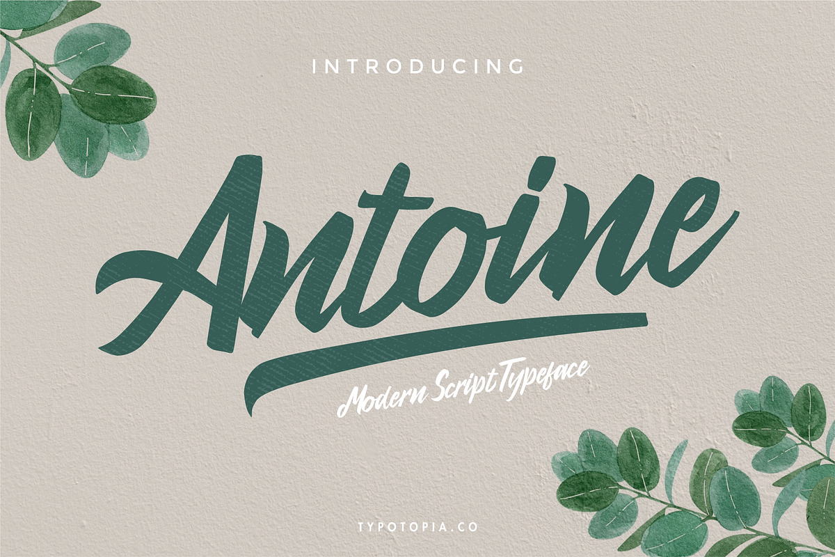 Antoine, a Script Font by edukka (Photo 1 of 8)