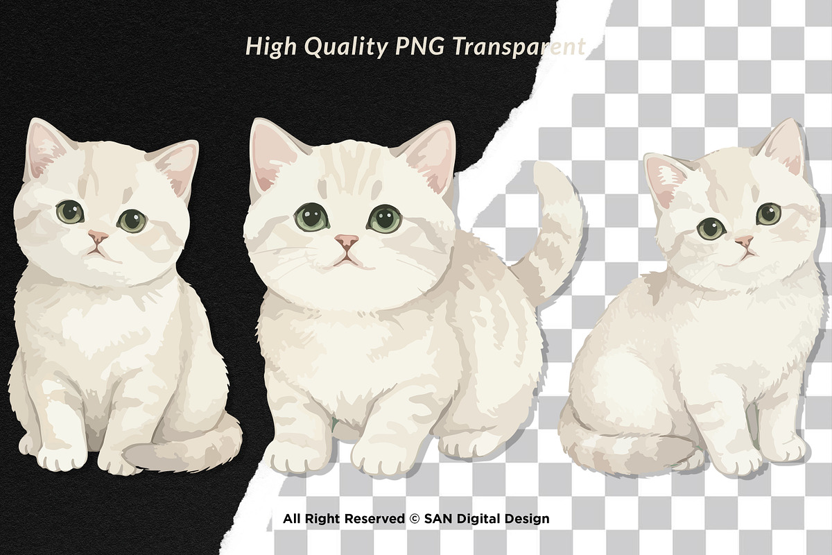 15 Bundle Watercolor White Kitten, an Animal Illustration by Morspective (Photo 2 of 8)
