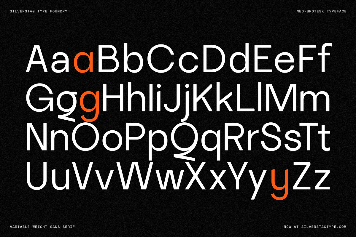 SLTF La Villa - Neo-Grotesk Typeface, a Sans Serif Font by SilverStag Type Foundry (Photo 11 of 20)