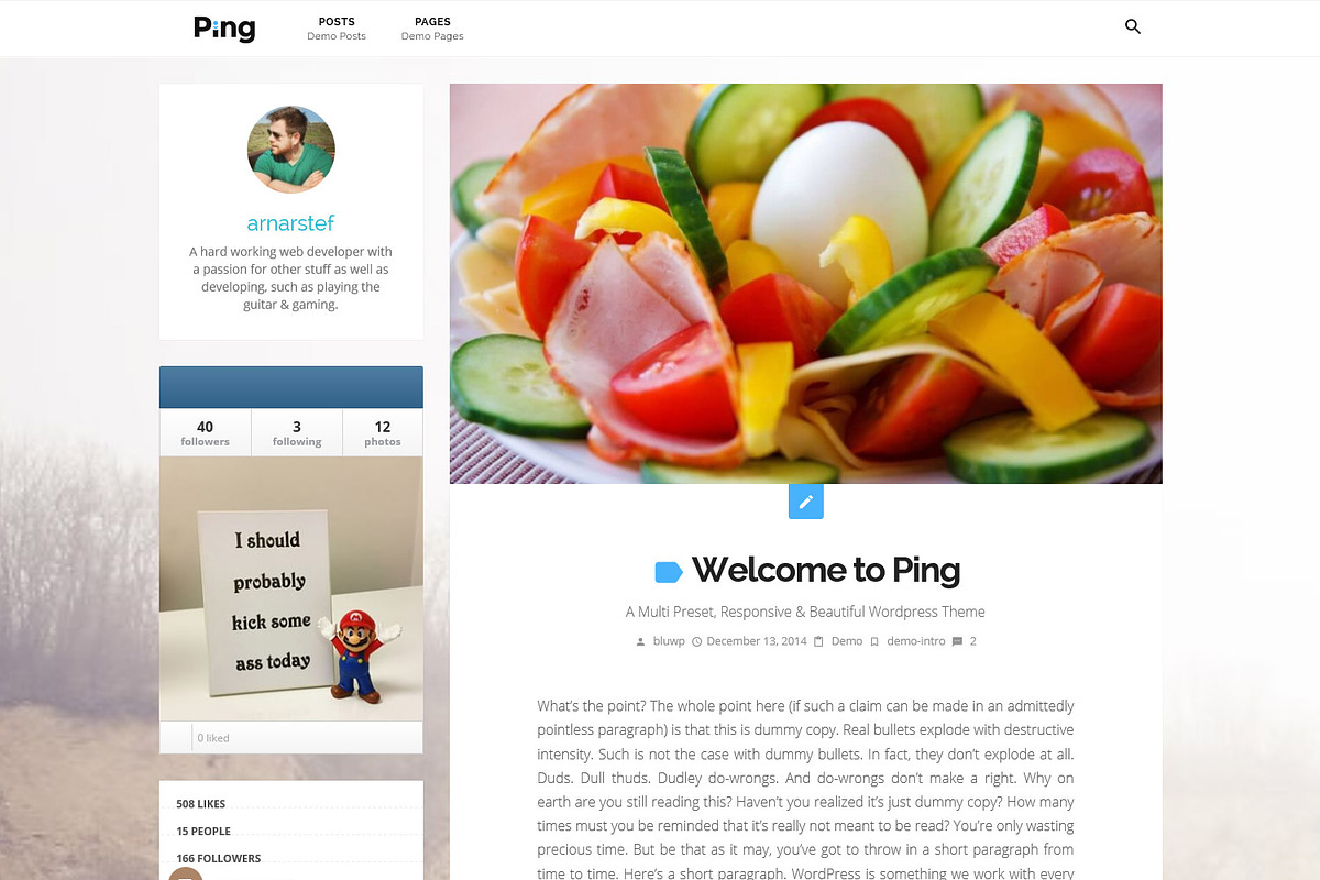 Ping | Charming Personal WP Theme, a WordPress Template by Bluthemes (Photo 2 of 3)