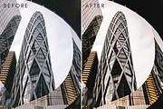 Megapolis Lightroom Presets, a Layer Style Add-On by Rapita Photography© (Thumbnail 8 of 9)