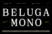 GC Beluga Mono - Elegant Modern Mono, a Serif Font by Glyphonic (Thumbnail 1 of 15)