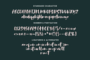 Bounches Font, a Script Font by trustha (Thumbnail 14 of 14)