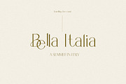Portobello Display Ligature Font, a Serif Font by Laras Wonderland (Thumbnail 11 of 15)
