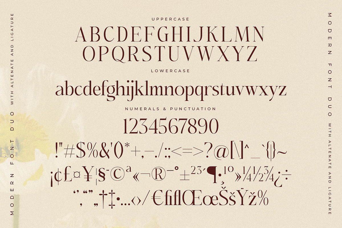 Adoretta Holland Font Duo, a Serif Font by Storytype Studio (Photo 11 of 15)