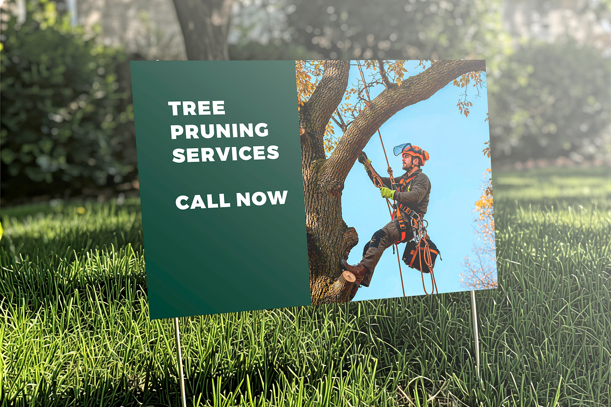 Tree Pruning Photo Pack, Arborist Tr, an Industrial Photo by Nestud!o (Photo 3 of 4)
