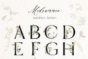 Midsummer - field flowers clipart, a Decorative Illustration by whiteheartdesign (Thumbnail 14 of 16)