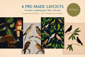 40 Vintage Birds & Branches