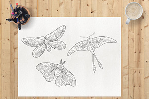 10 Meditative Insect Coloring Pages