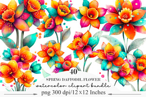 Whimsical Spring Daffodil Flower, an Illustration by Designking