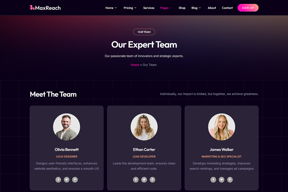 SEO & Digital Agency WordPress, a WordPress Template by Elite Templates (Photo 5 of 10)