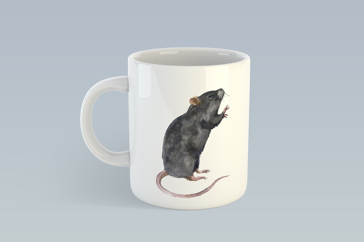 Watercolor rodents Clipart png, an Animal Illustration by KomtsyanTatyanaArt (Photo 4 of 4)