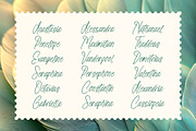 Ethyopark Scriptov Handwritten Font, a Script Font by stylishtype.co (Thumbnail 4 of 15)