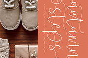 Crystale Jawerly Beauty Handwritten, a Script Font by stylishtype.co (Thumbnail 13 of 20)